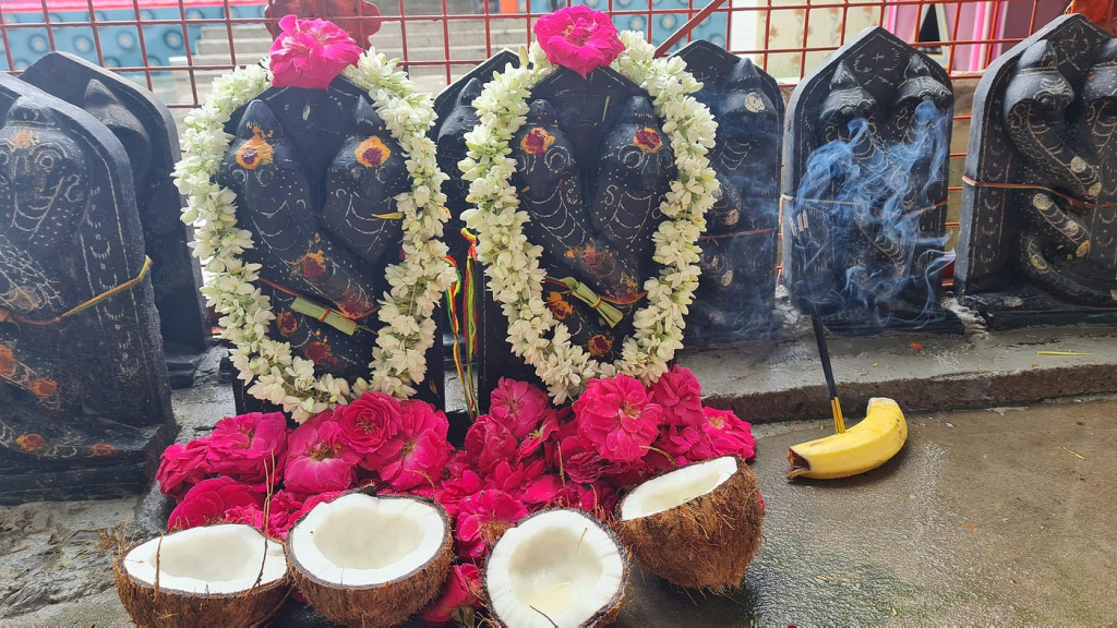 Ashlesha Bali Pooja 