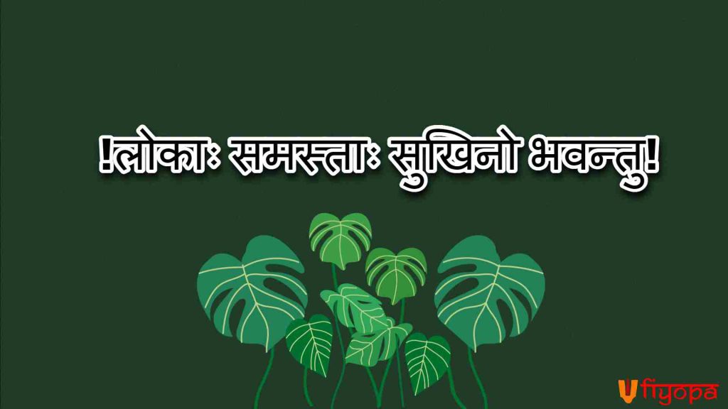 Best Sanskrit Bio For Instagram