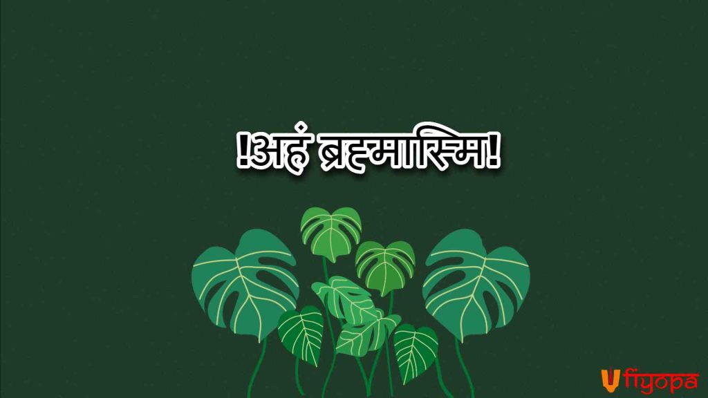 Sanskrit Shlok for Insta Bio
