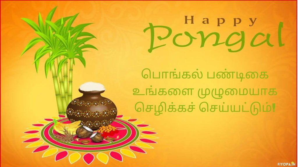 Top Pongal Wishes in Tamil Words
